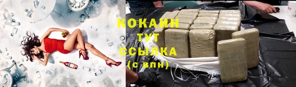 тгк Вяземский