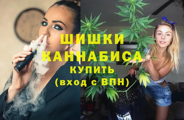тгк Вяземский