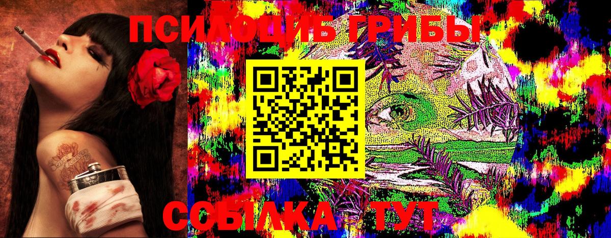 Псилоцибиновые грибы Magic Shrooms  Назарово  Псилоцибиновые грибы прущие грибы 