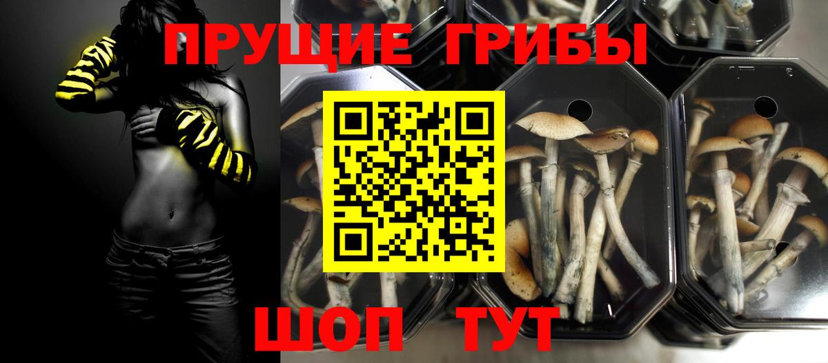 Галлюциногенные грибы Psilocybine cubensis  Вход с VPN  продажа наркотиков  Галлюциногенные грибы MAGIC MUSHROOMS  Назарово 