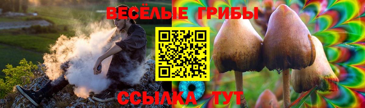Псилоцибиновые грибы прущие грибы Назарово