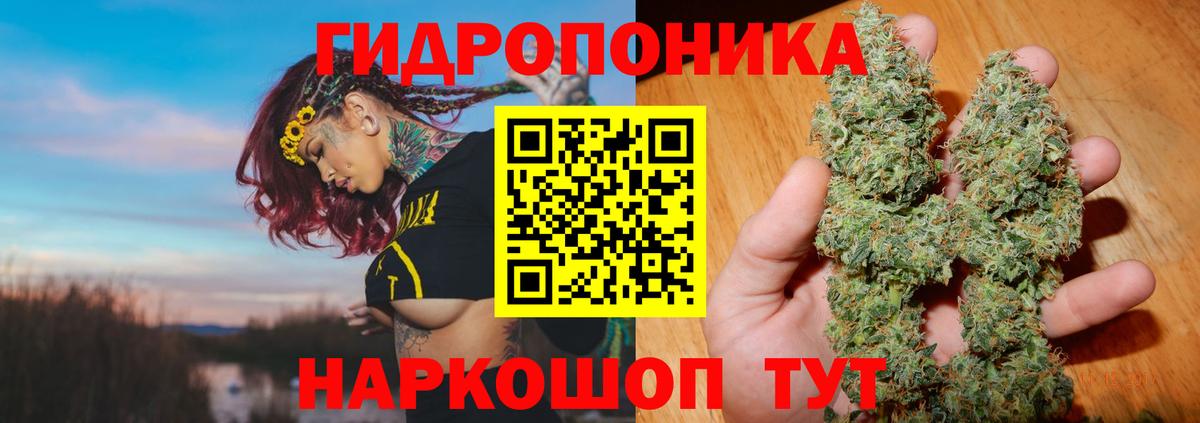 Бошки марихуана Bruce Banner  Бошки марихуана THC 21%  Назарово 